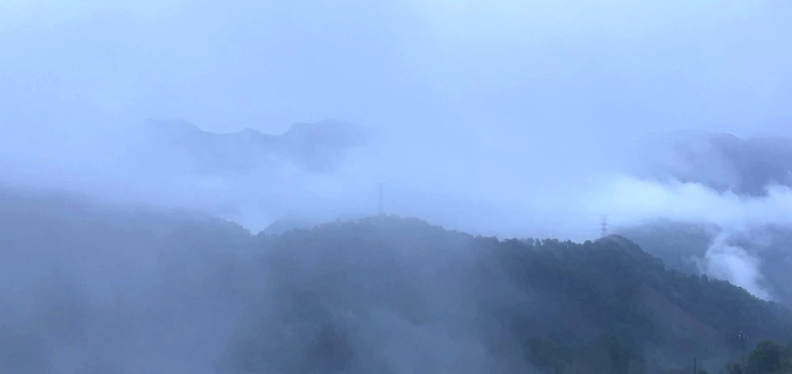 High-mountain tea estate in mist — Zhenyuan, Pu'er, Yunnan at 1,800–2,200 m