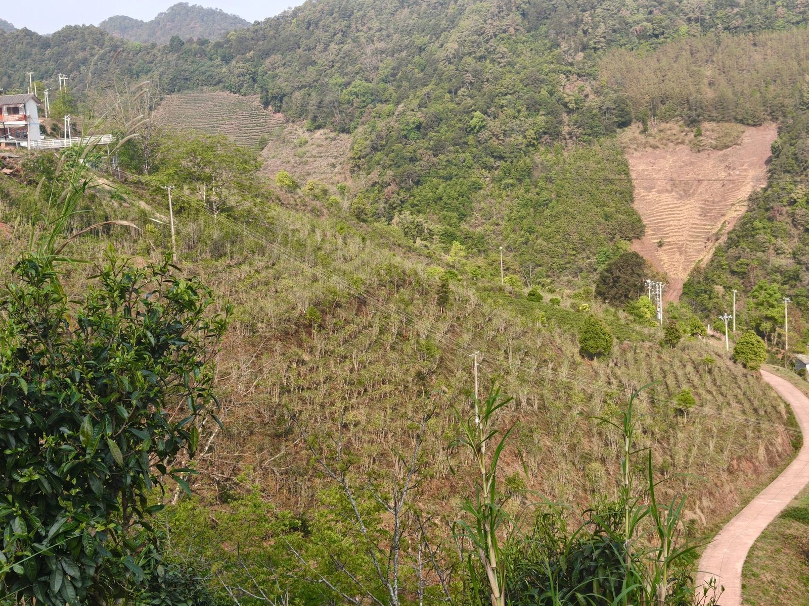 Partner garden in the mountain valley