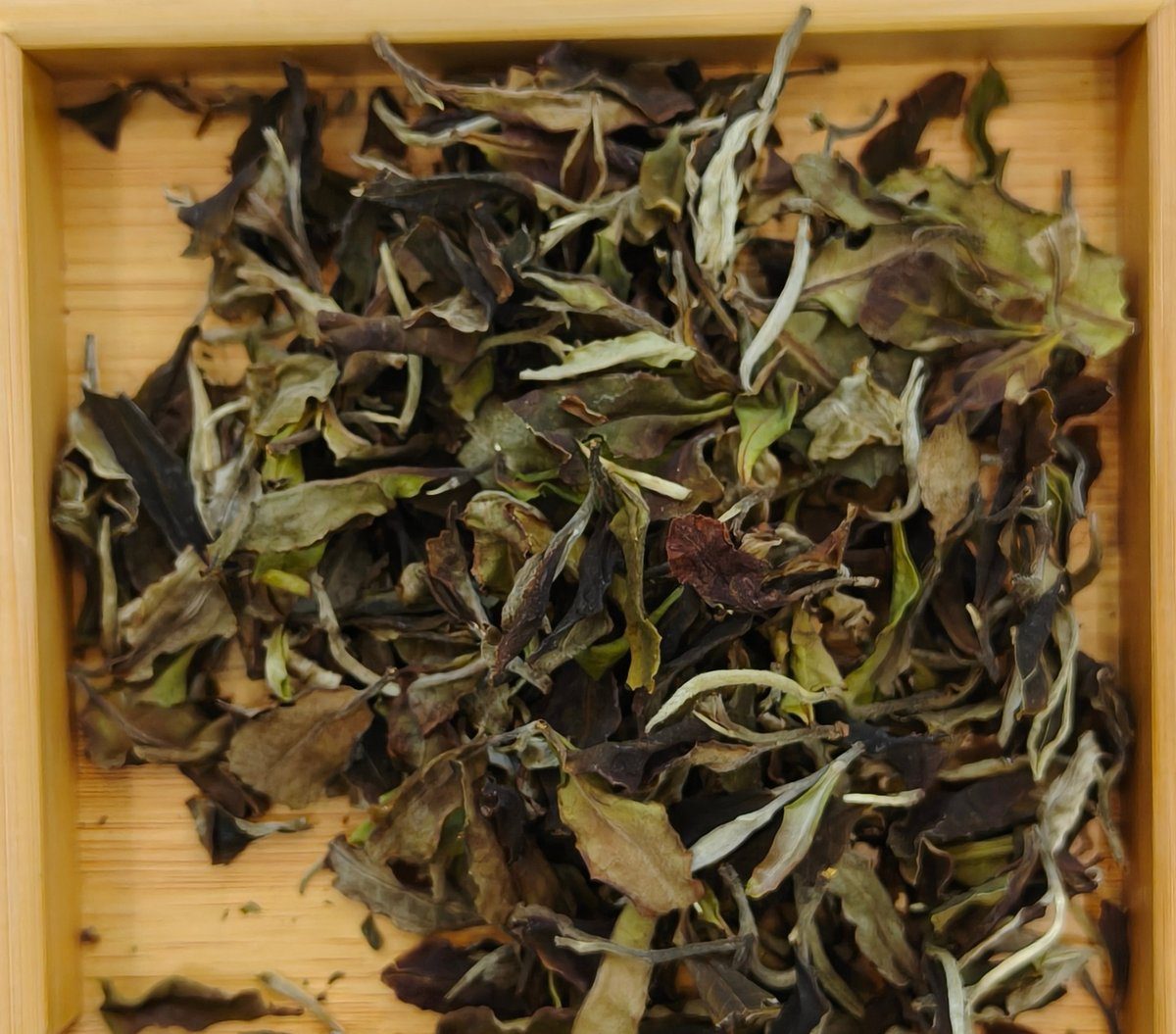 Ancient-tree Organic White Tea (White Peony) loose leaf